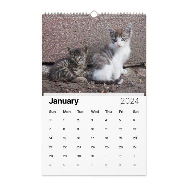 Kittens Wall calendar (2024)