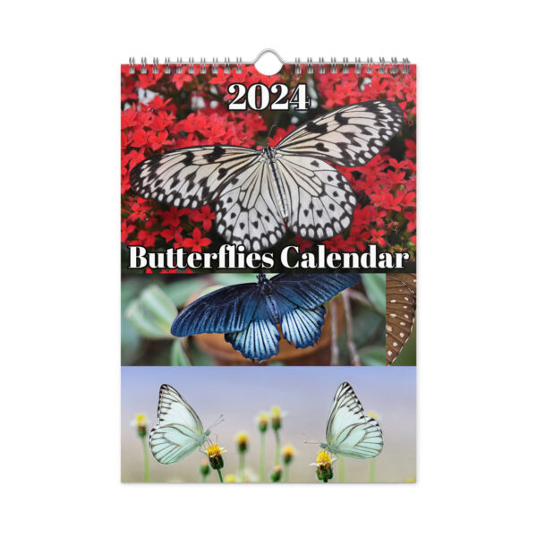 Butterflies Wall calendar (2024)